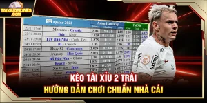 Kèo Tài Xỉu 2 Trái - Hướng Dẫn Chơi Chuẩn Nhà Cái