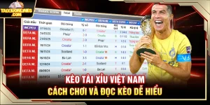 Kèo Tài Xỉu Việt Nam – Cách Chơi Và Đọc Kèo Dễ Hiểu
