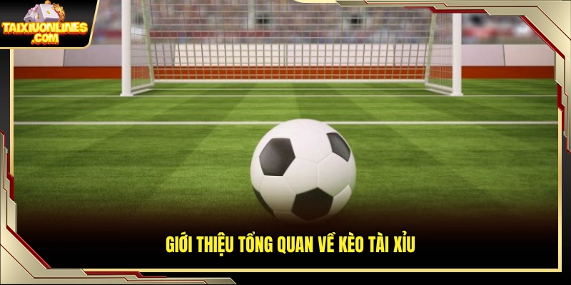 Khái quát hình thức cược tài xỉu phổ biến